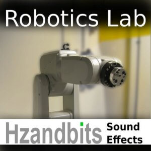 Hzandbits Robotics Lab
