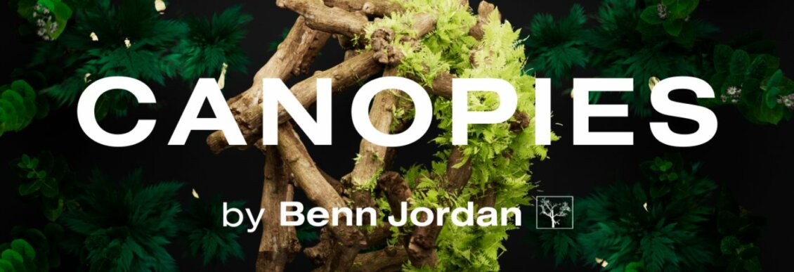 canopies benn jordan lunacy