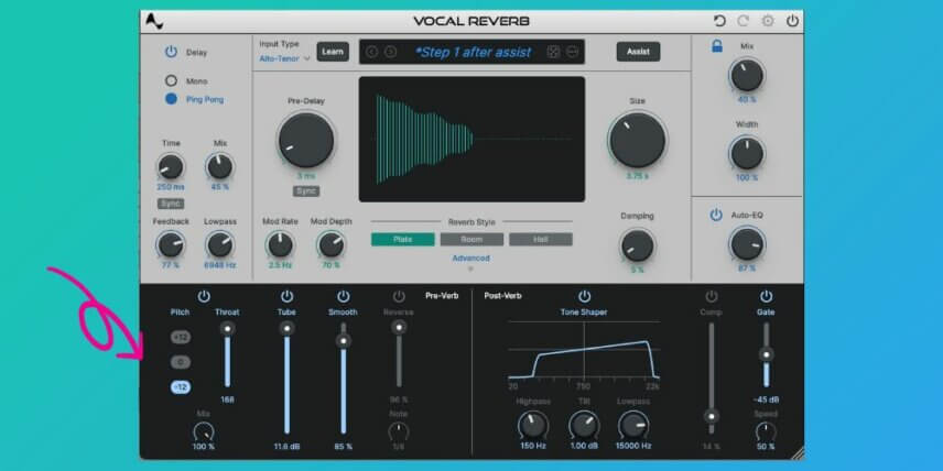 reverb 