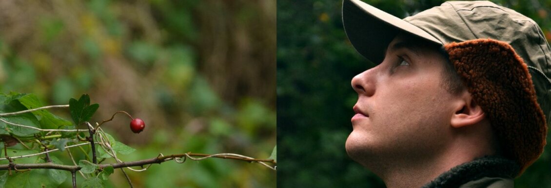 Blomfelt i'm interested in apathy