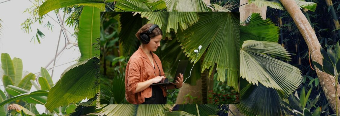 Alice Boyd Bio Sonification